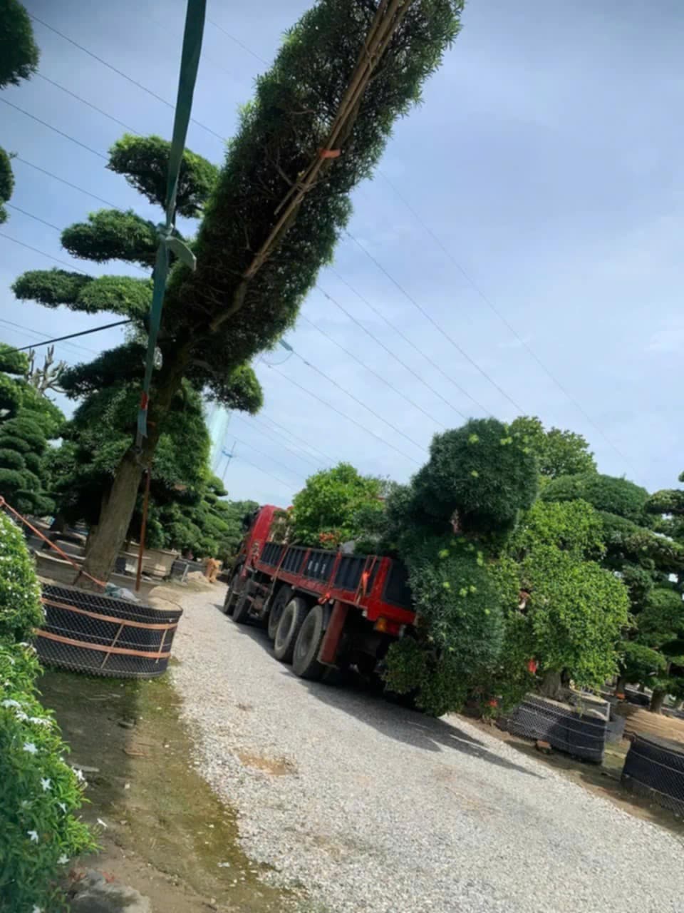 Cứu hộ giao thông gần nhất 24/7