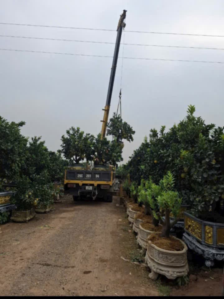 Cứu hộ giao thông gần nhất 24/7