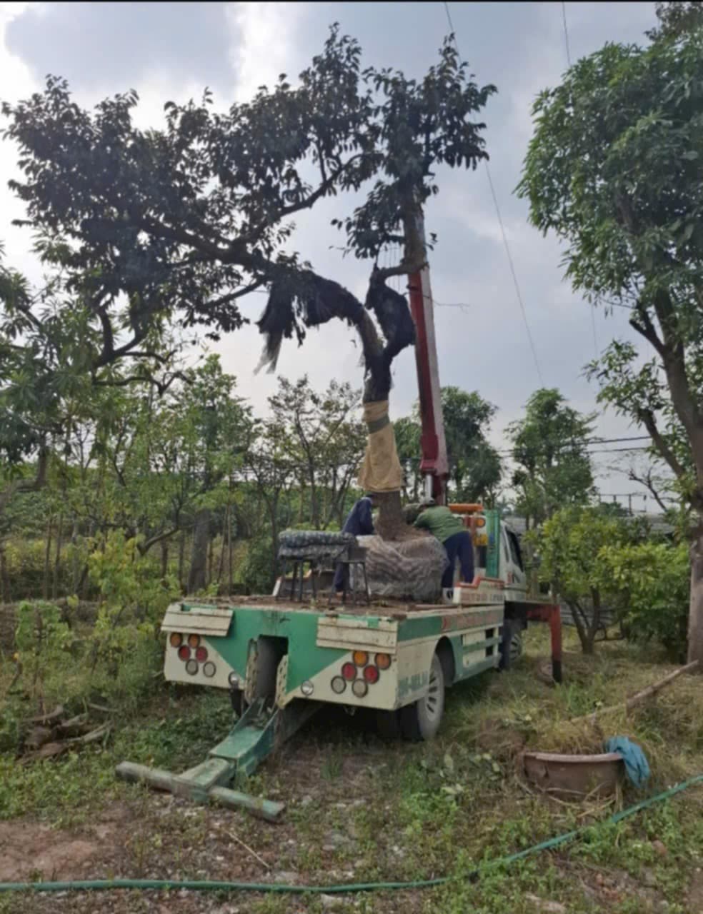 Cứu hộ giao thông gần nhất 24/7